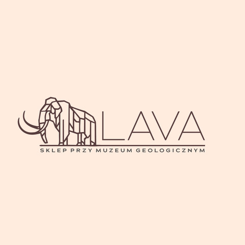 Logo LavaSklep